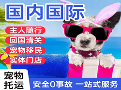 连云港机场快运国际宠物托运 【国